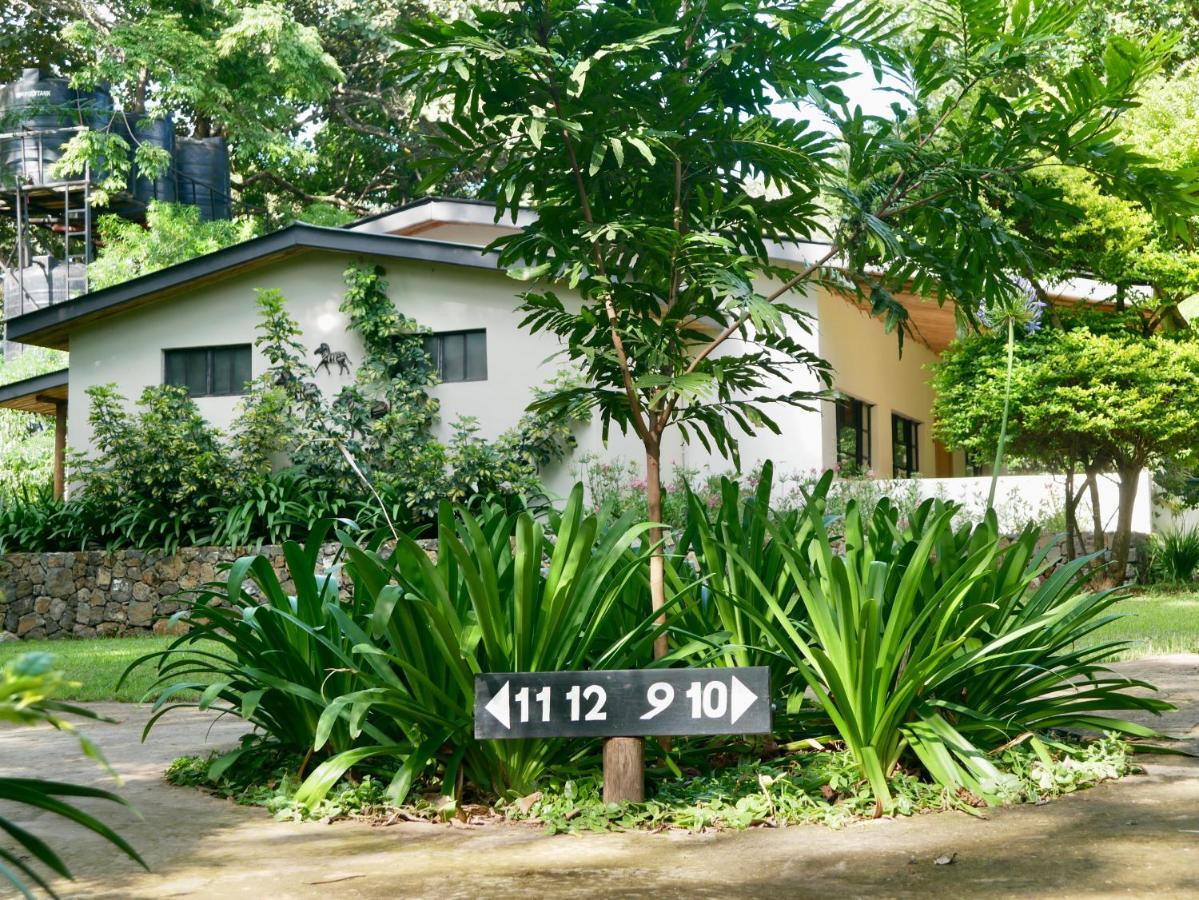 Arusha Villa Karamu Coffee Estate Usa River エクステリア 写真
