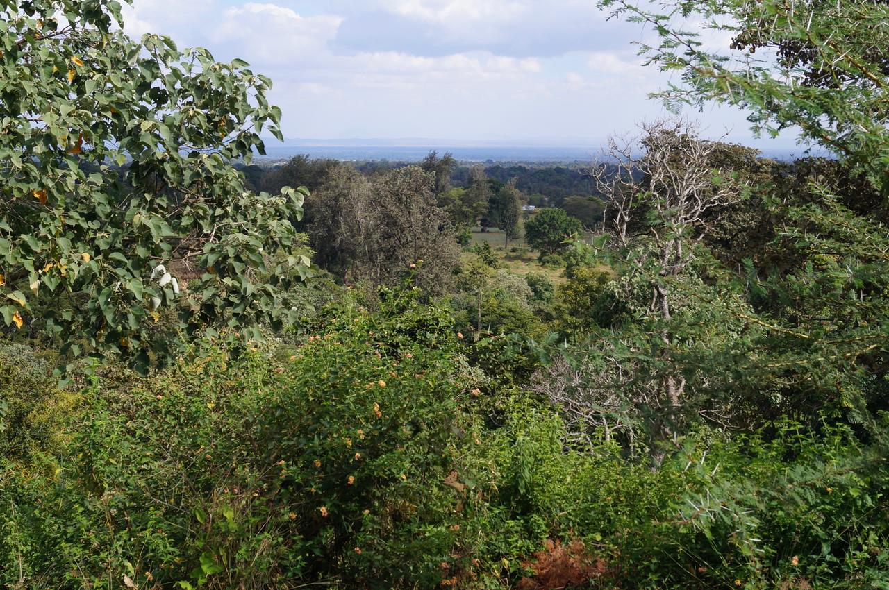 Arusha Villa Karamu Coffee Estate Usa River エクステリア 写真