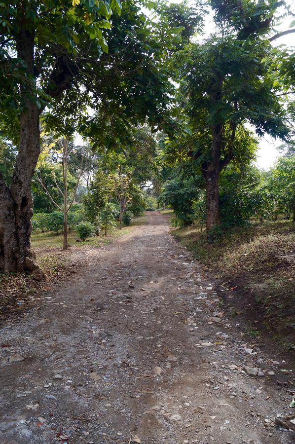 Arusha Villa Karamu Coffee Estate Usa River エクステリア 写真
