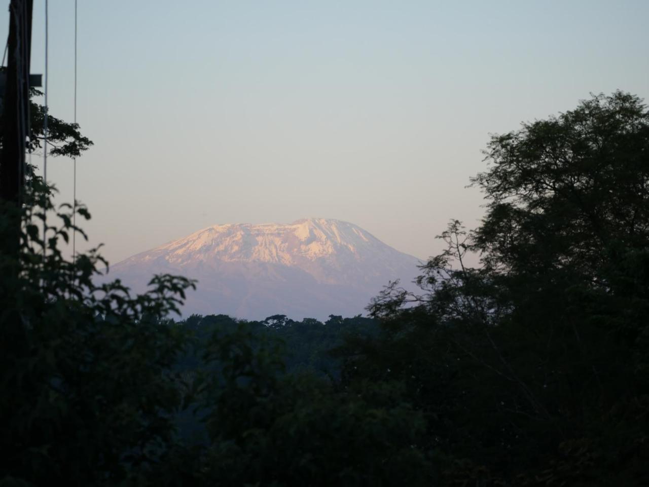 Arusha Villa Karamu Coffee Estate Usa River エクステリア 写真
